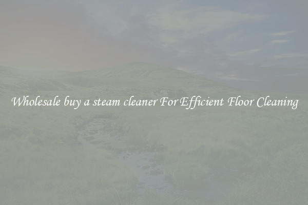 Wholesale buy a steam cleaner For Efficient Floor Cleaning