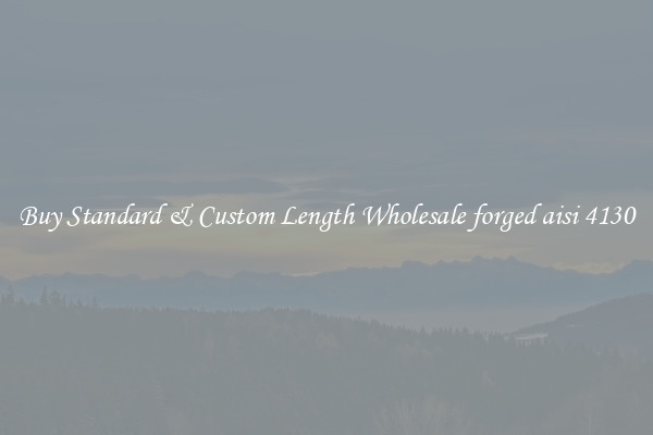 Buy Standard & Custom Length Wholesale forged aisi 4130