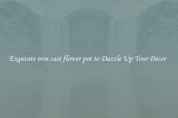 Exquisite iron cast flower pot to Dazzle Up Your Décor  