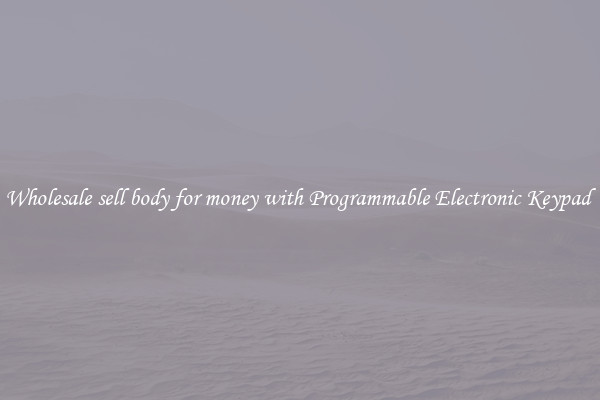 Wholesale sell body for money with Programmable Electronic Keypad 