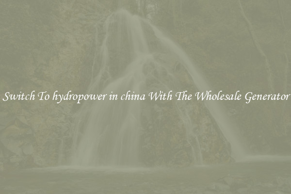 Switch To hydropower in china With The Wholesale Generator