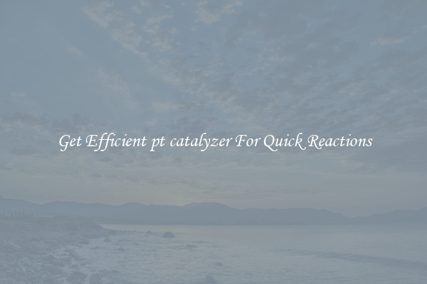 Get Efficient pt catalyzer For Quick Reactions