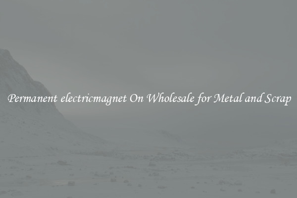 Permanent electricmagnet On Wholesale for Metal and Scrap