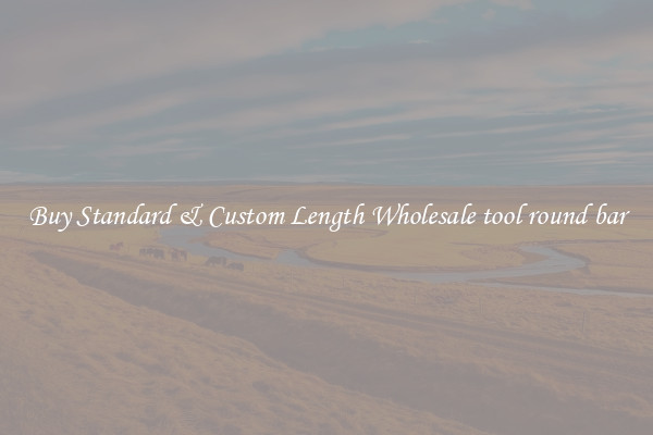 Buy Standard & Custom Length Wholesale tool round bar