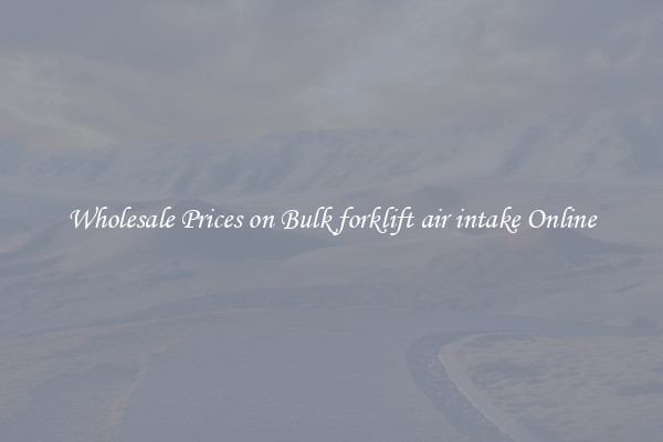 Wholesale Prices on Bulk forklift air intake Online