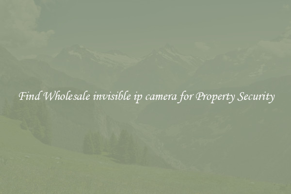 Find Wholesale invisible ip camera for Property Security