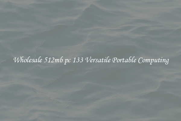 Wholesale 512mb pc 133 Versatile Portable Computing