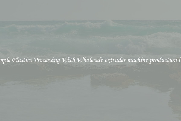Simple Plastics Processing With Wholesale extruder machine production line