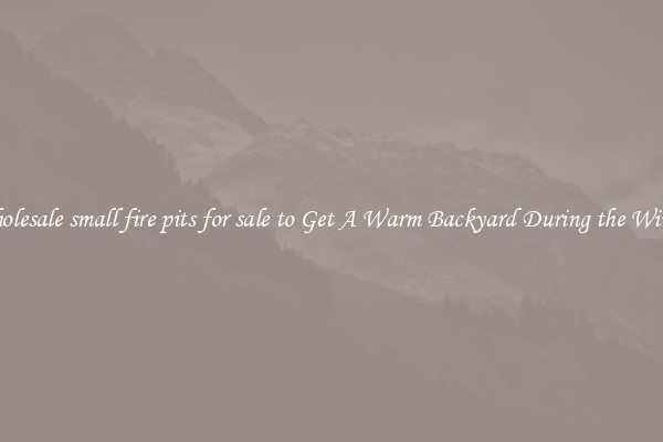 Wholesale small fire pits for sale to Get A Warm Backyard During the Winter