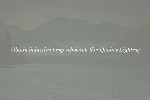 Obtain induction lamp wholesale For Quality Lighting