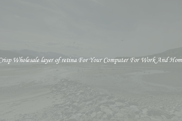 Crisp Wholesale layer of retina For Your Computer For Work And Home