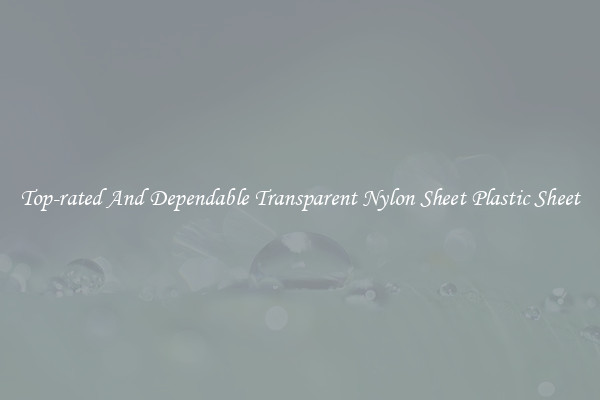 Top-rated And Dependable Transparent Nylon Sheet Plastic Sheet