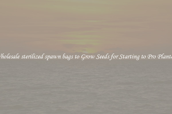 Wholesale sterilized spawn bags to Grow Seeds for Starting to Pro Planters