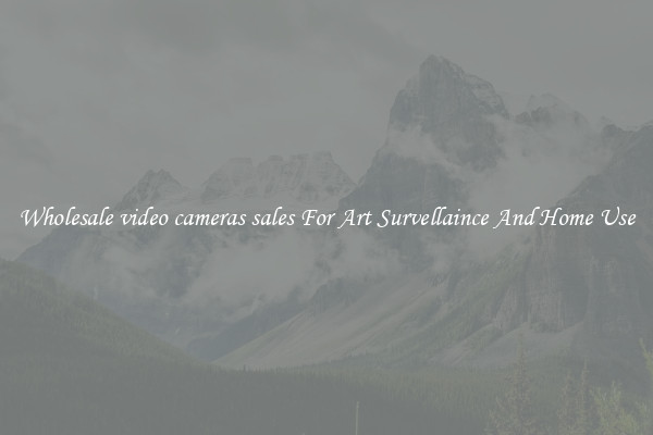 Wholesale video cameras sales For Art Survellaince And Home Use