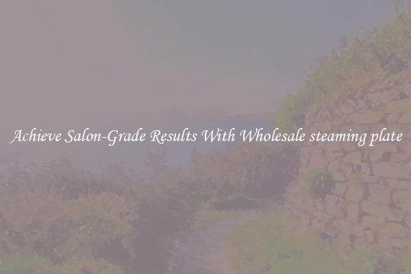 Achieve Salon-Grade Results With Wholesale steaming plate