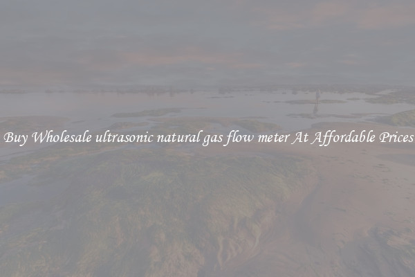 Buy Wholesale ultrasonic natural gas flow meter At Affordable Prices