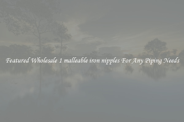 Featured Wholesale 1 malleable iron nipples For Any Piping Needs