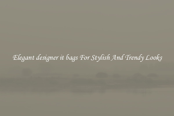 Elegant designer it bags For Stylish And Trendy Looks