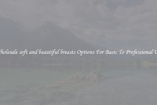 Wholesale soft and beautiful breasts Options For Basic To Professional Use