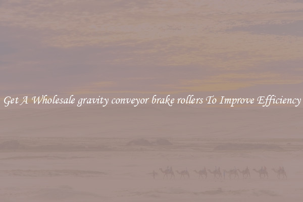 Get A Wholesale gravity conveyor brake rollers To Improve Efficiency