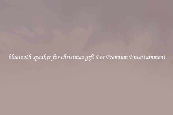 bluetooth speaker for christmas gift For Premium Entertainment